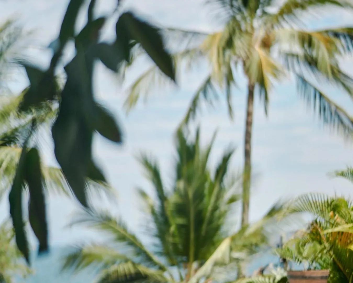 Ysuri Sayulita - Beachfront Hotel