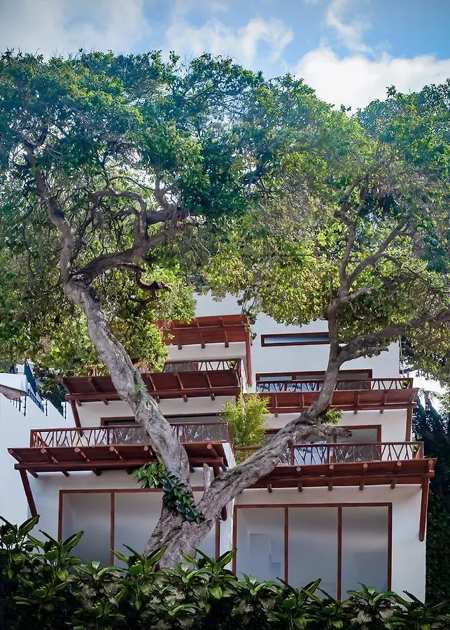 Ysuri Sayulita - Beachfront Hotel